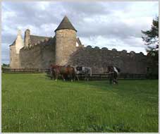 Alte Burgen und Mauern